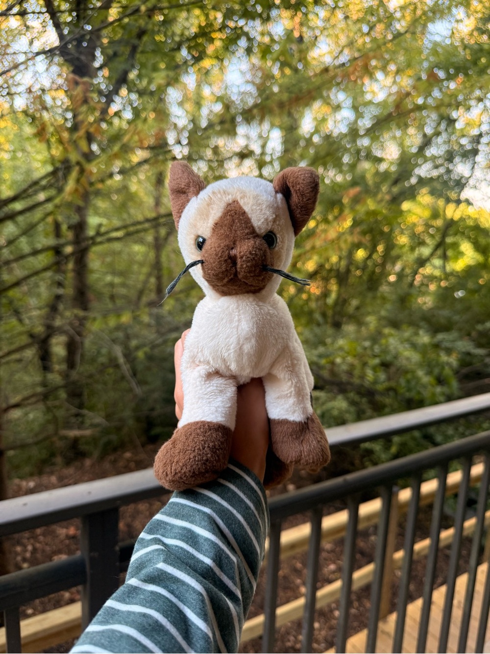 Webkinz Siamese Cat Plush Toy - Cream and Brown